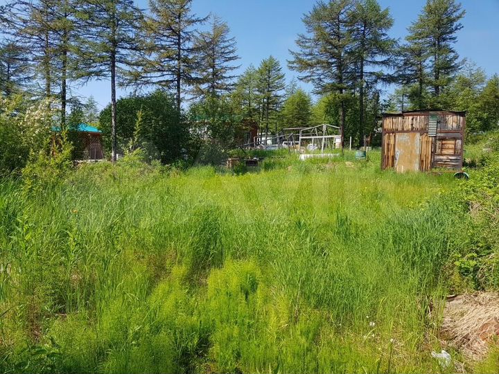 Участок 8 сот. (СНТ, ДНП)