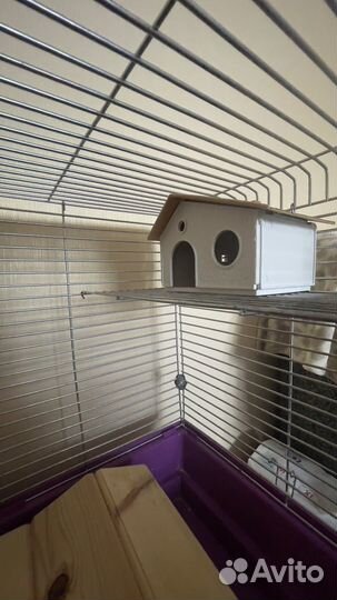 Клетка для грызунов большая, колесо, дом