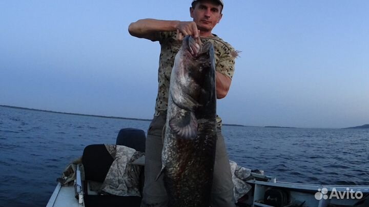 Рыбалка с гидом в Саратовской области