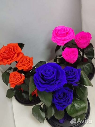 Роза в колбе