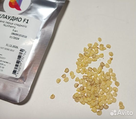 Семена перца Клаудио F2