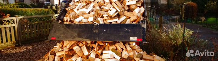 Дрова кубометр