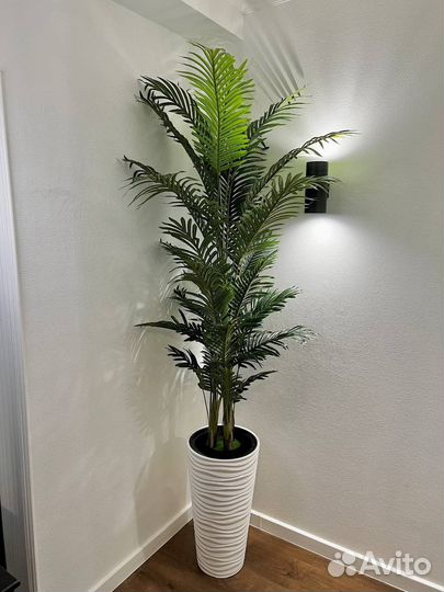 Искусственные деревья / фитокартина Оренбург