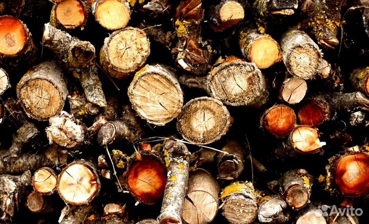 Дрова от Буратино