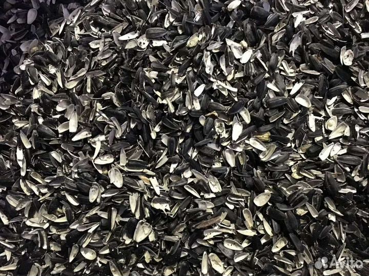 Лузга подсолнечника