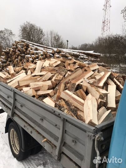 Дрова берёза