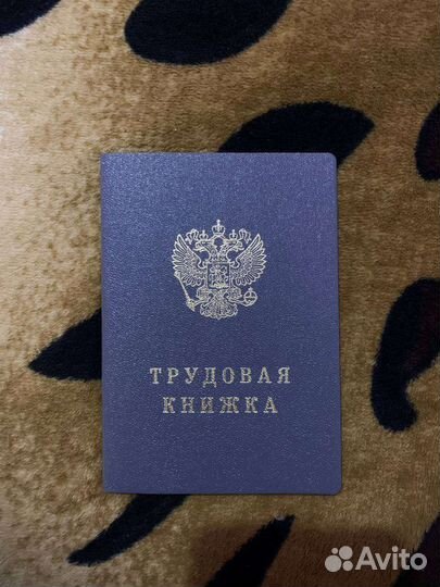 Трудовая книжка новая