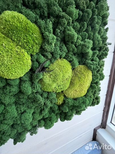 Картина из стабилизированного мха