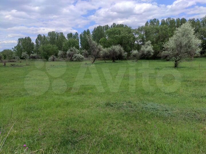 Участок 9 га (СНТ, ДНП)