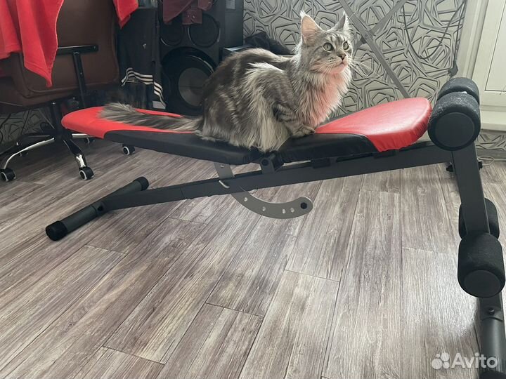 Скамья для пресса