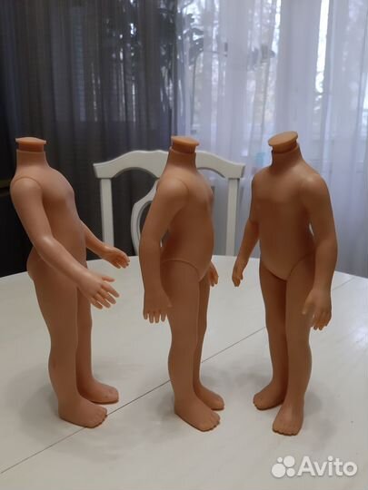 Лот из трех тел Паола Рейна