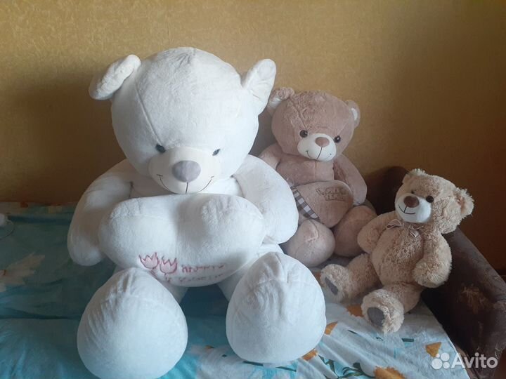 Милые мишки ищут новый дом