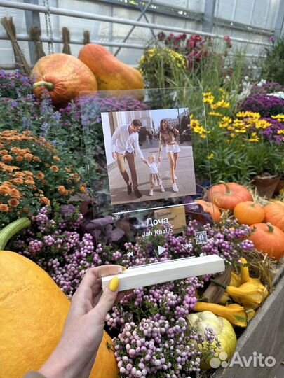 Подарок «вау»