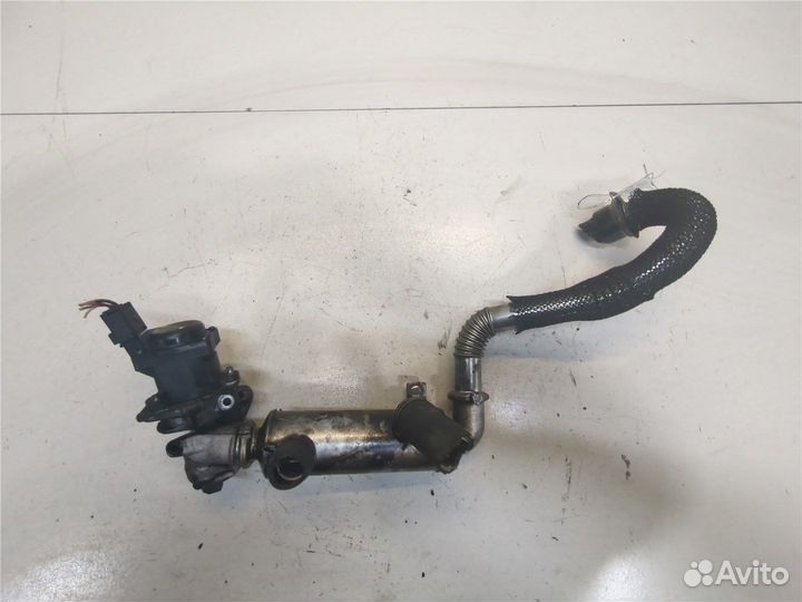 Охладитель отработанных газов Fiat Scudo, 2008