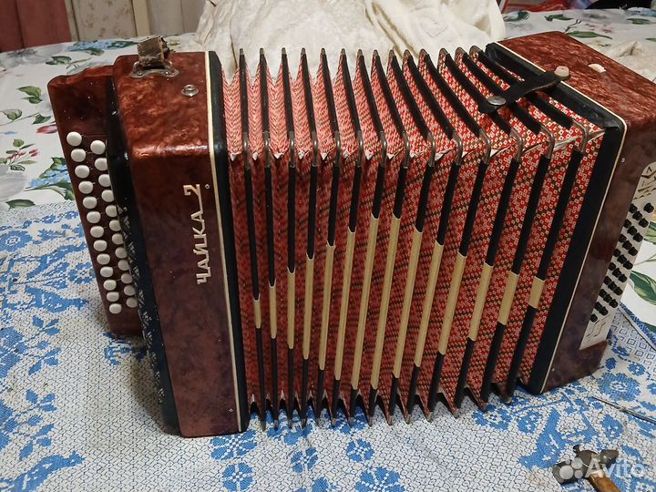 Гармонь чайка 2