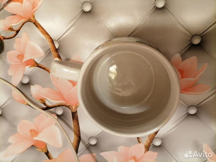 Супница заморская