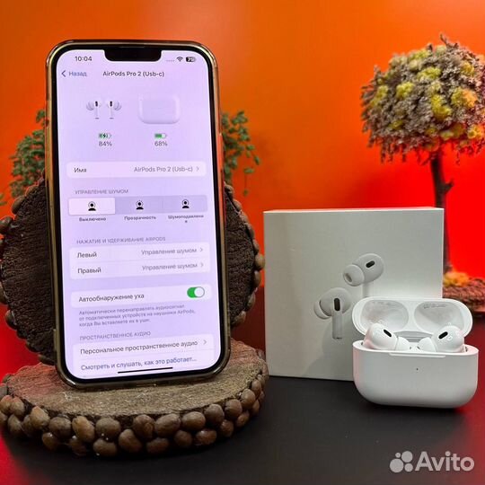 Airpods Pro 2 type c (гарантия+чехол)
