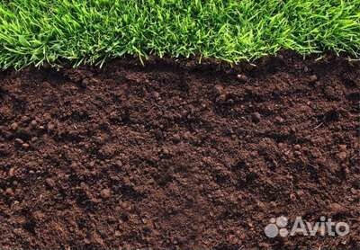 Земля плодородная, Чернозем, Перегной