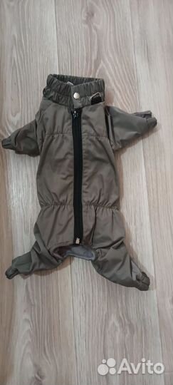 Одежда для собак мелких пород