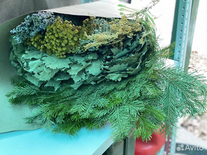 Тысячалистник