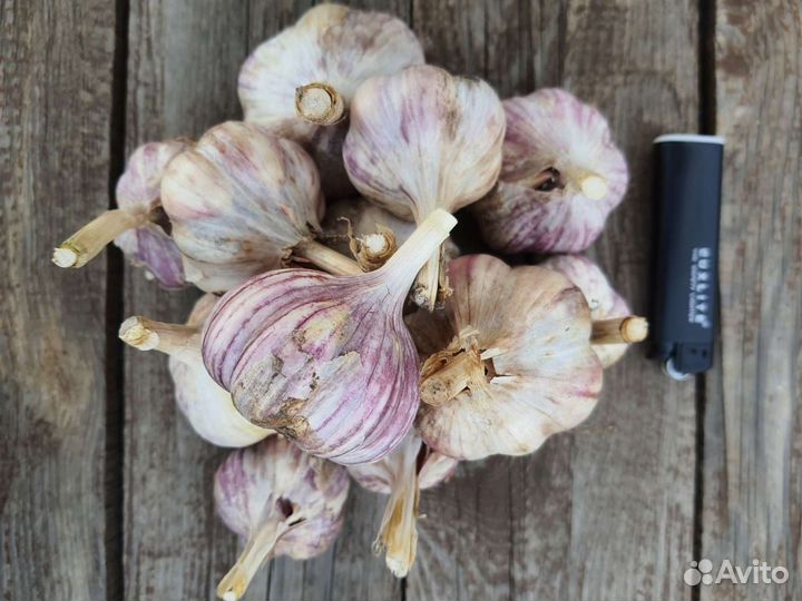 Чеснок