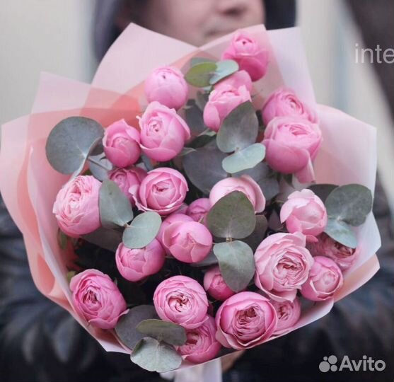 101 роза 51 роза Цветы