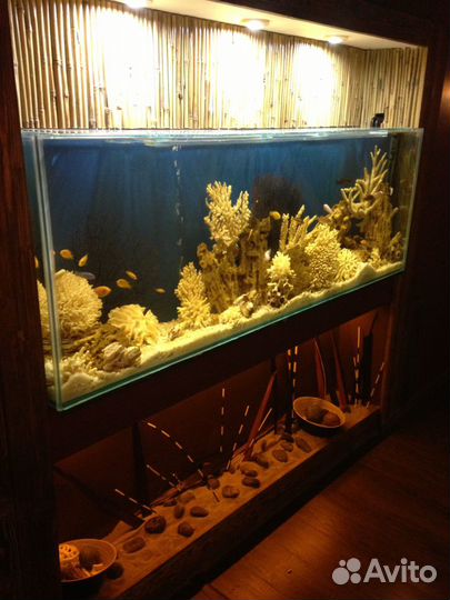 Обслуживание (чистка) аквариумов