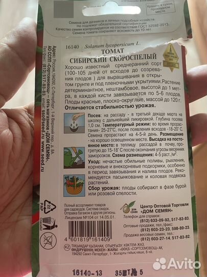 Рассада помидоров