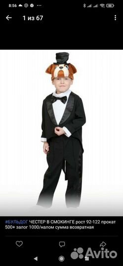 Костюмы домашних животных