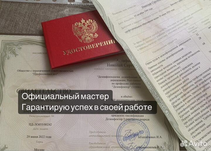 Уничтожение тараканов, травить клопов, обработка