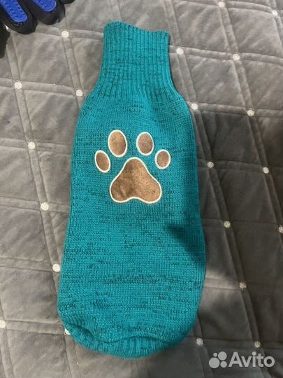 Одежда для собак