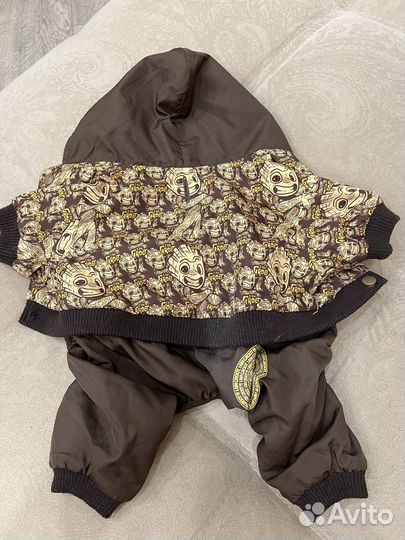 Дождевик и вещи для мелких собак