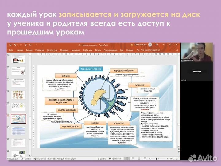 Репетитор по биологии