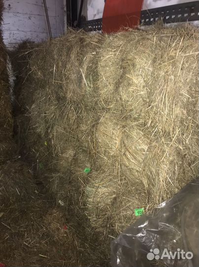 Сено солома в тюках аннинский район