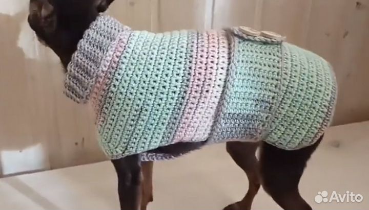 Жилетка для собак