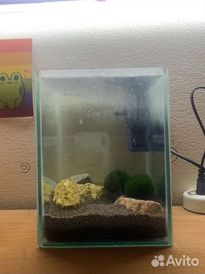 Мини аквариум