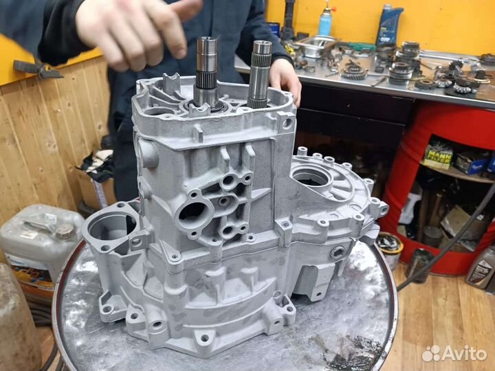 С мопсом глянули фото кп, он поперхнулся педигри