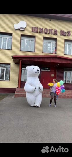 Белый мишка, заяц Плюша и мишка Тедди,поздравления