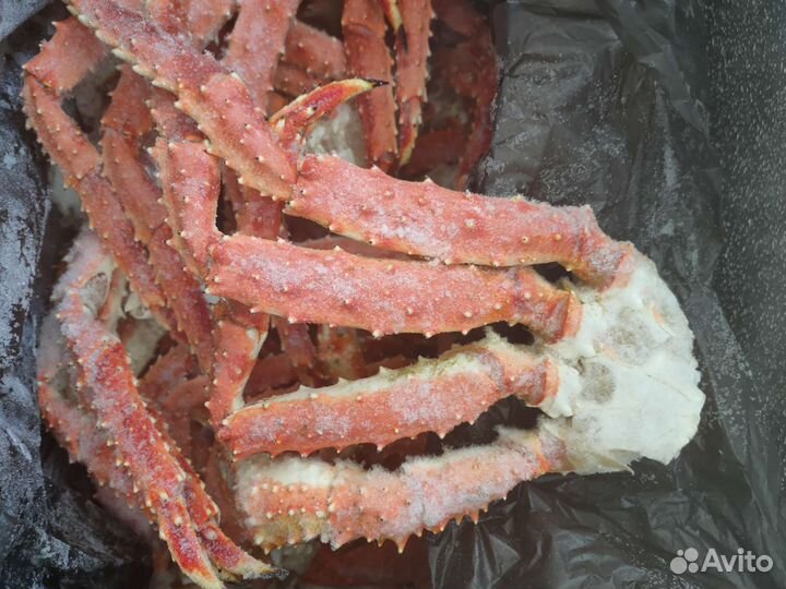 Клешни камчатского краба