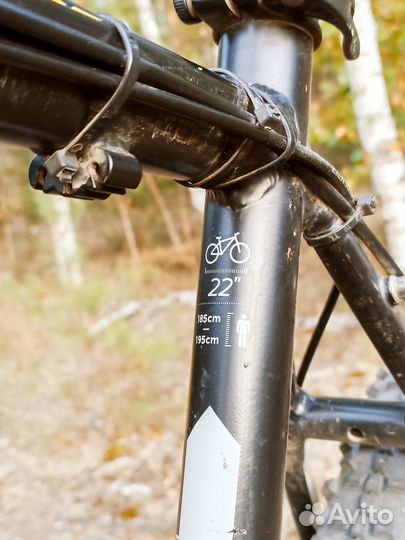 Самый продвинутый и уникальный Штерн на планете