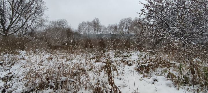 Участок 10,6 сот. (ИЖС)