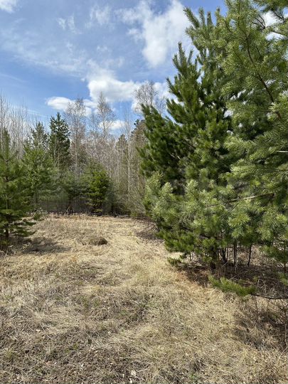 Дача 35 м² на участке 24 сот.