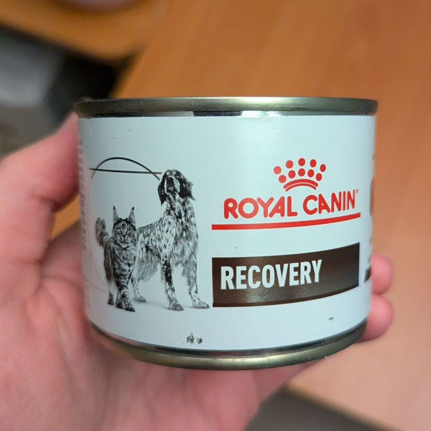 Корм Royal Canin Recovery для кошек и собак