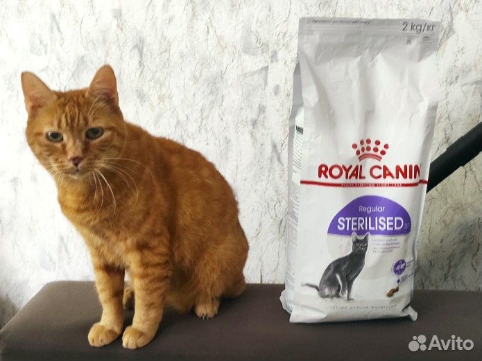 Сухой корм для кошек royal canin Sterilised 37,2кг