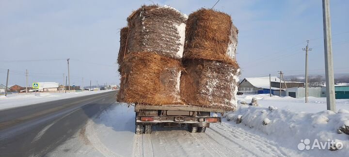 ЗИЛ 4105 7.7 AT, 1999, 200 000 км