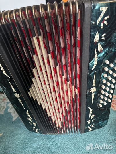 Гармонь Беларусь 3х голосная