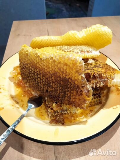 Дикий бортевой мед