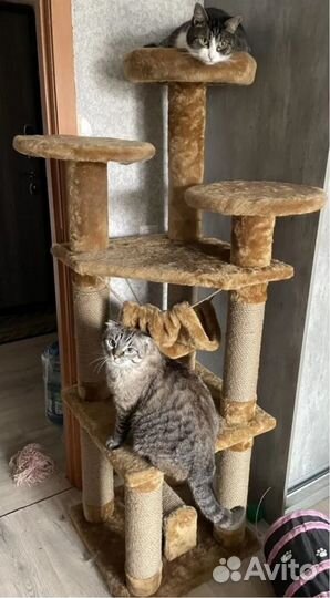 Когтеточка домик для кошки с лежанкой