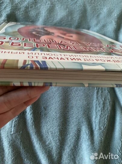 Большая книга о беременности Сара Брюэр