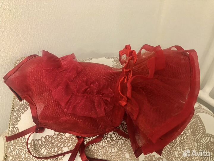 Много одежды для собачки